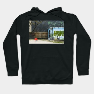 Little red elephant on playground Hoodie